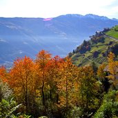 partschins blick auf vinschgau herbst