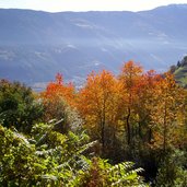 partschins herbst blick auf vinschgau