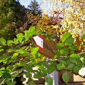 partschins wanderweg nach rabland wegweiser