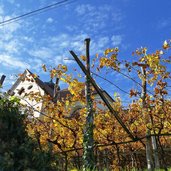 riffian wallfahrtskirche zur schmerzhaften mutter gottes herbst weinberge