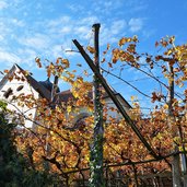 herbst bei wallfahrtskirche sieben schmerzen mariens