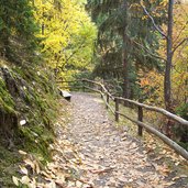 schenner waalweg zugang bei verdins herbstwald