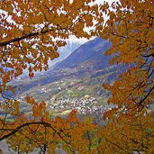 blick auf kuens herbst