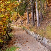 waalweg schenna herbst