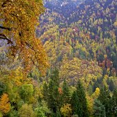 naiftal herbst meran