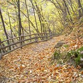 abstieg schlucht sinichbach