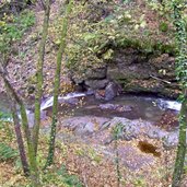 sinichbach rio sinigo