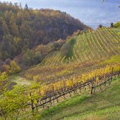 meran freiberg herbst