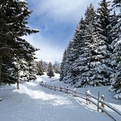 vigiljoch winter wanderweg winterlandschaft