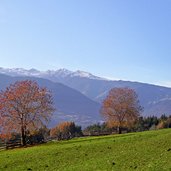 herbstansicht wiesen bei schlaneid