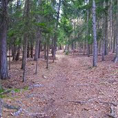 waldweg schlaneid st ulrich