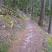 waldweg st ulrich voeran