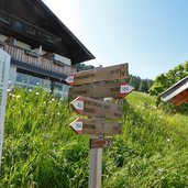 wiesen bei taseralm wegweiser