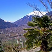 dorf tirol falknerweg winter