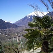 dorf tirol falknerweg