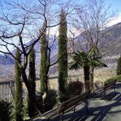 dorf tirol falknerweg