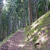 pawigl weg nr nach st pankraz wald