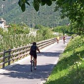 radweg bei naturns