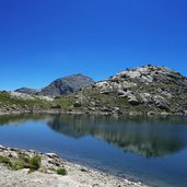 langsee spronser seen