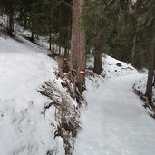 weg nr mariolberg ulten winter wald