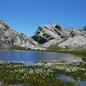 schieferlacke mit moorlandschaft