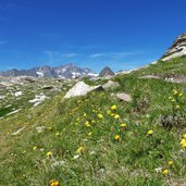 weg bei falschnaljoch