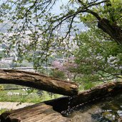 marling erlebnisweg aussicht meran