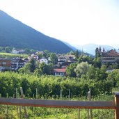 prissian schloss katzenzungen