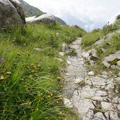 weg jaufenkamm urweg passeirer hoehenweg richtung anger maehder