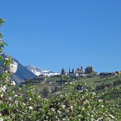 obstbluete blick nach schenna