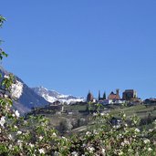 obstbluete blick nach schenna