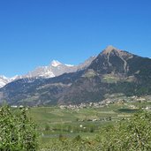 dorf tirol fruehling obstbluete