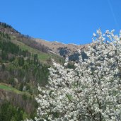 fruehling und hoefe bei vernuer