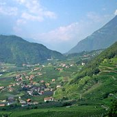 algund plars terrassenlandschaft