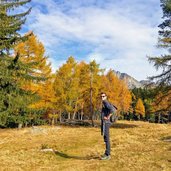 herbstwald hafling falzeben laerchenwald