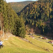 aufstieg richtung falzeben laerchenwald herbst