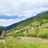 wolf am waltner rundweg