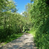 weg richtung passerschlucht bei st leonhard