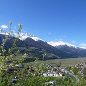 fruehling bei schlanders kortsch