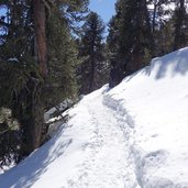 winter wanderweg nr lagauntal nach bergl alm