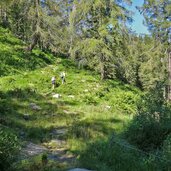 weg nr zur fagls alm wanderer