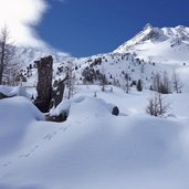 schnals berglalm bergl alm winter spuren im schnee hase fr