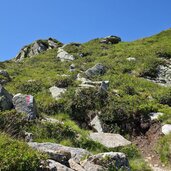 weg oberhalb fagls alm