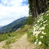 weg von wanns nach walten waltner rundweg