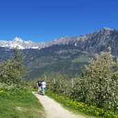 marlinger waalweg oberhalb algund