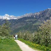 marlinger waalweg oberhalb algund