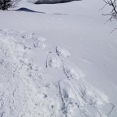 spuren schneeschuhe im schnee