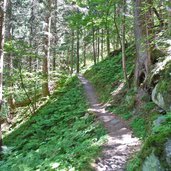 waldweg nr bei platt passeier