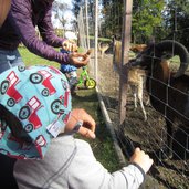 rainguthof tierpark gfrill tisens prissian