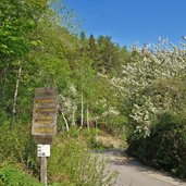 abzweigung wanderwege bei morter